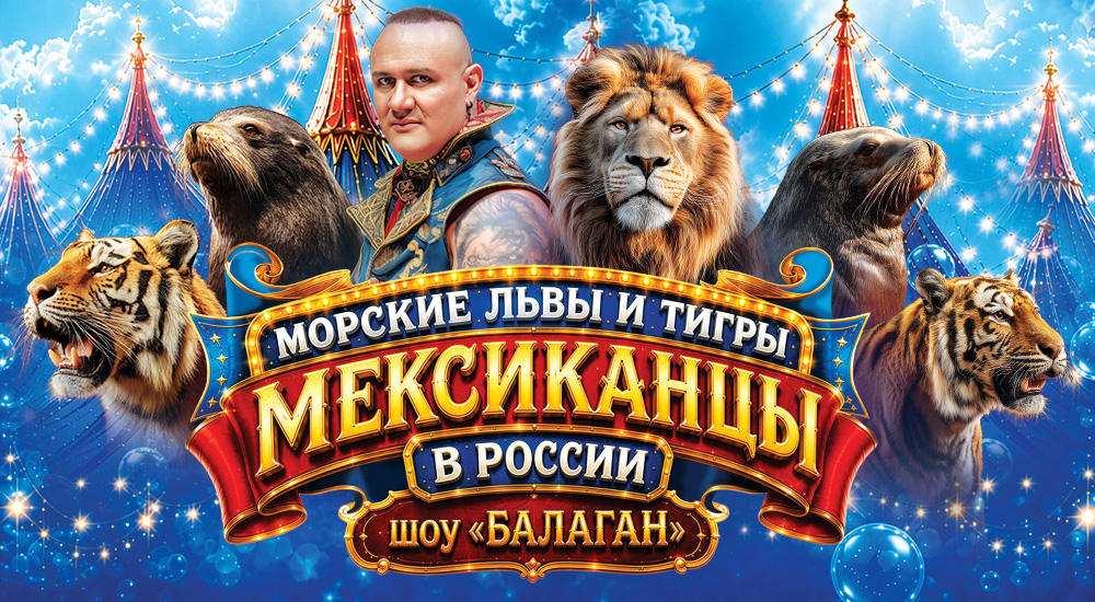 Новосибирский цирк